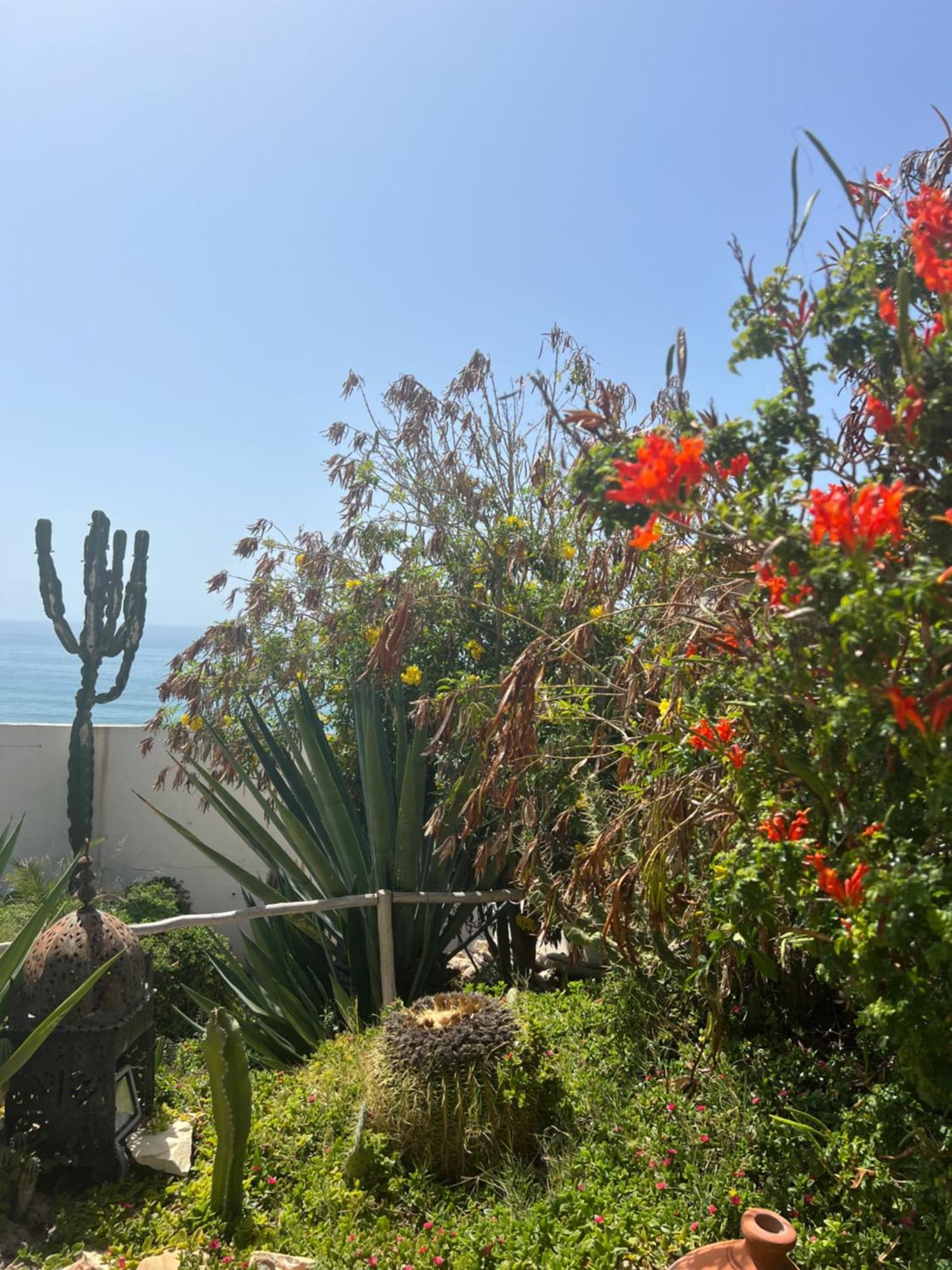 Villa Jardin De L'Ocean Aourir Εξωτερικό φωτογραφία